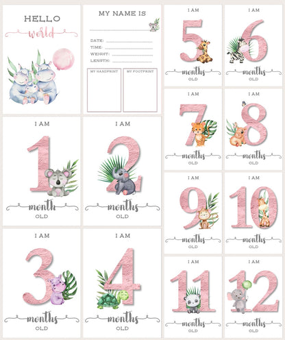 READY TO PRINT:  Baby Milestone Cards - Pink Baby Animals