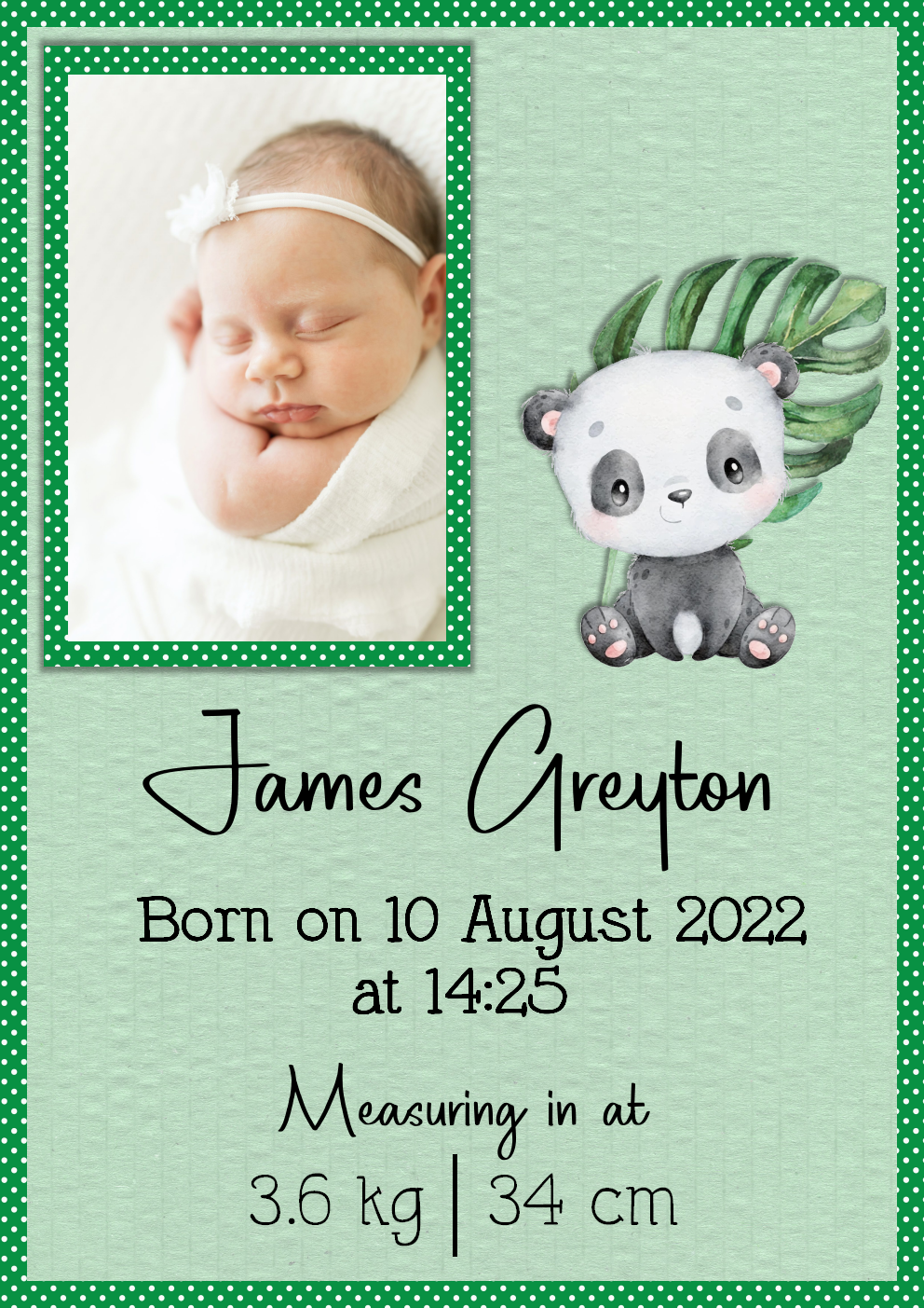DIGITAL CARD:  Baby Birth Announcement - Green Panda (English or Afrikaans)