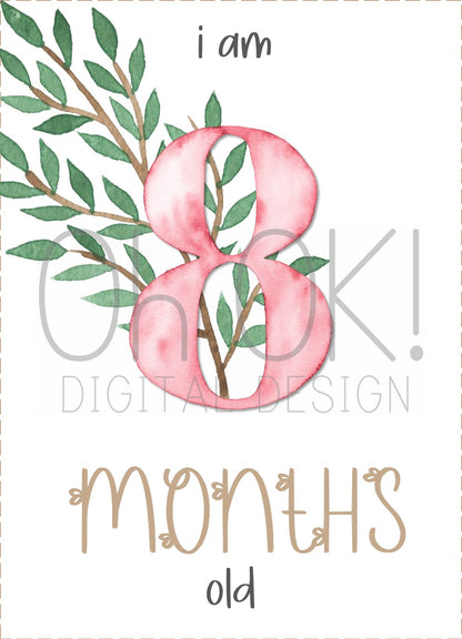 READY TO PRINT:  Baby Milestone Cards - Leafy Pink